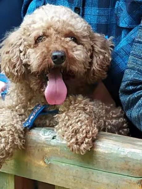 维尼,天冷了快回家吧!全家都想你!